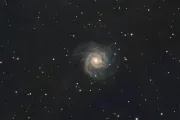 A small face-on spiral galaxy surrounded by stars against a dark sky.
