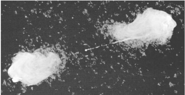 Fig3: A VLA radio image of Cygnus A, showing the two radio lobes separated by about
100$\rm h^{-1}$ kpc and the jet extending from the galaxy to the right-hand lobe. Cyg A is a narrow-line radio
galaxy. Fig3: A VLA radio image of Cygnus A, showing the two radio lobes separated by about
100$\rm h^{-1}$ kpc and the jet extending from the galaxy to the right-hand lobe. Cyg A is a narrow-line radio
galaxy.