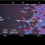 reionization.png