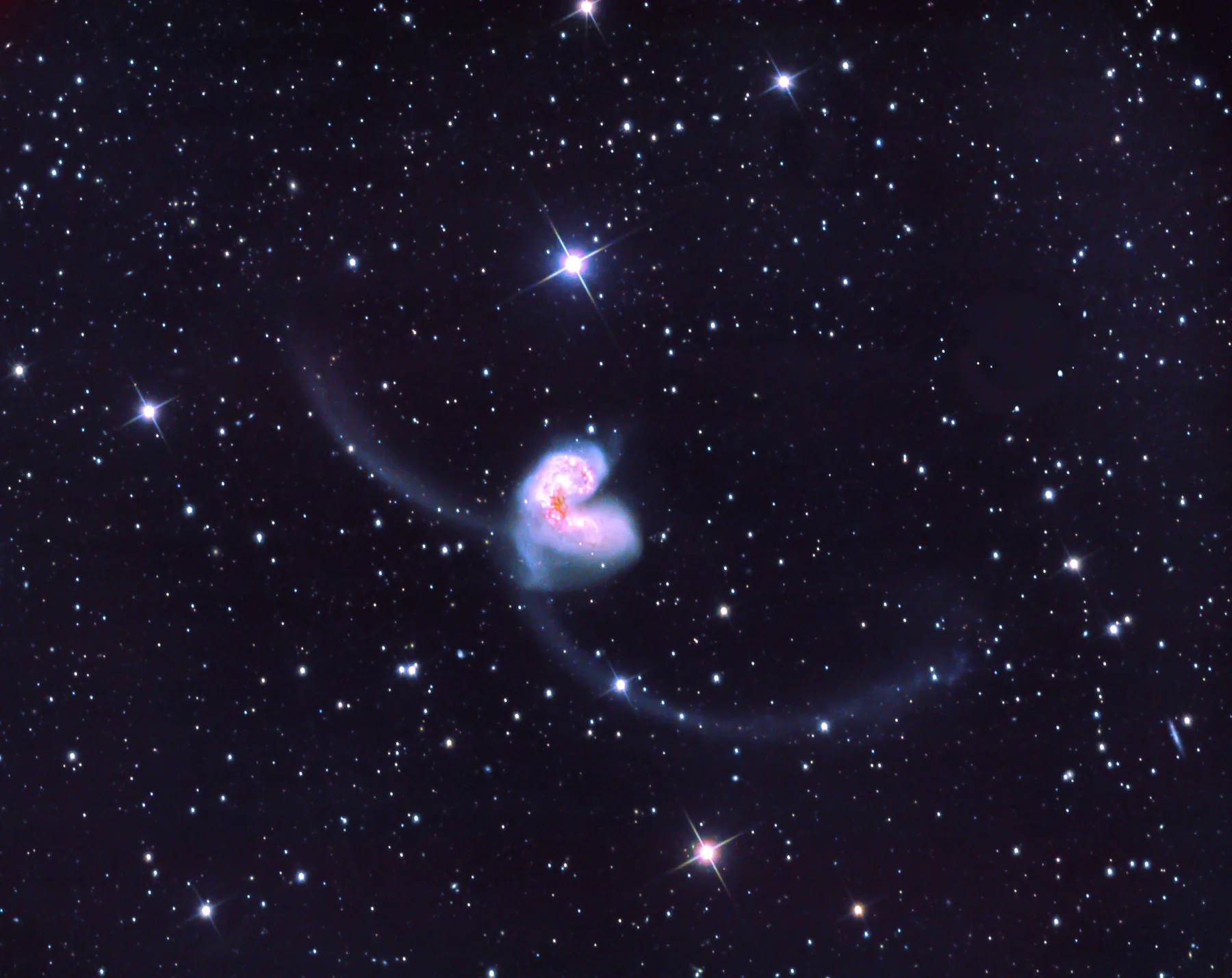 A Hubble close-up of the Antennae galaxies: two merging spiral galaxies whose bright golden cores are surrounded by a turbulent field of blue super star clusters and pink clouds of glowing hydrogen, where the collision has triggered an explosion of new star formation.